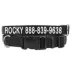 Coastal Pet Products Personalized Tough Dog Collar image thumbnail 1