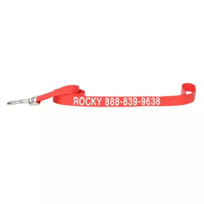 Coastal Pet Products Personalized Single Ply Nylon Dog Leash - Image 1