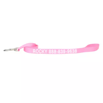 Coastal Pet Products Personalized Single Ply Nylon Dog Leash - Image 1