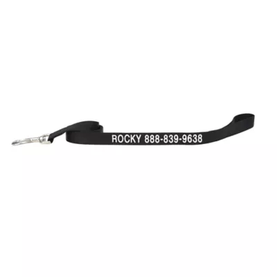 Coastal Pet Products Personalized Single Ply Nylon Dog Leash - Image 1