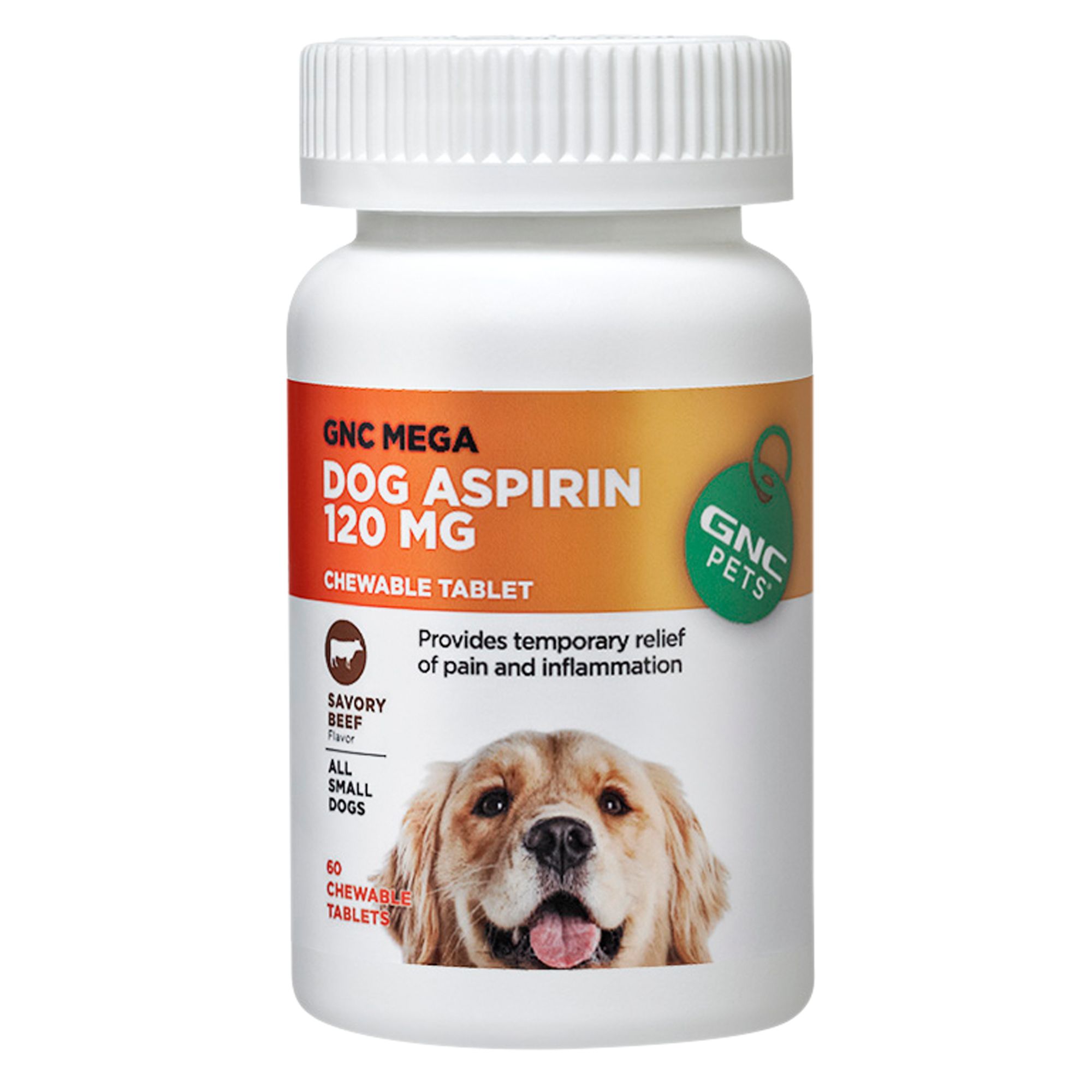 can i give my dog aspirin or tylenol for pain