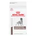 Royal Canin® Veterinary Diet Canine Gastrointestinal Adult Dry Dog Food image thumbnail 1