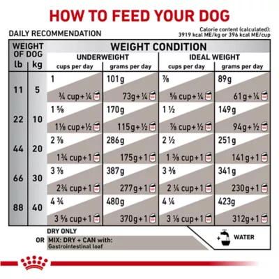 Product Royal Canin® Veterinary Diet Canine Gastrointestinal Adult Dry Dog Food