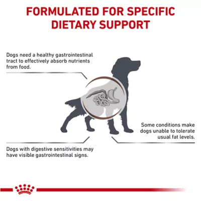 Product Royal Canin(R) Veterinary Diet Canine Gastrointestinal Adult Dry Dog Food - Low Fat