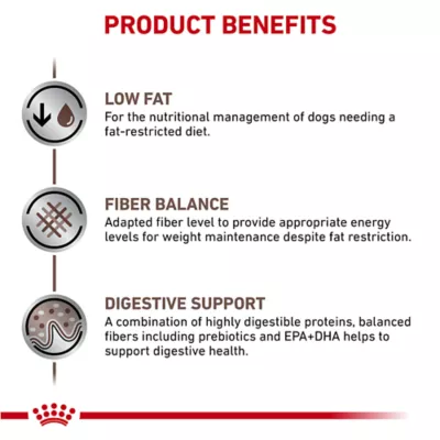 Product Royal Canin(R) Veterinary Diet Canine Gastrointestinal Adult Dry Dog Food - Low Fat