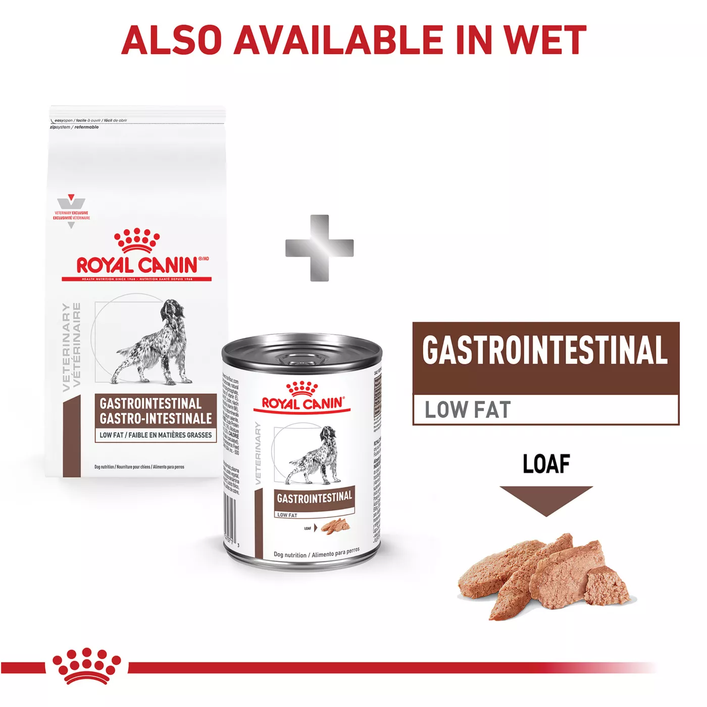 Canine gastro intestinal low fat best sale