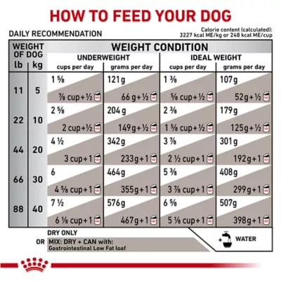 Product Royal Canin(R) Veterinary Diet Canine Gastrointestinal Adult Dry Dog Food - Low Fat