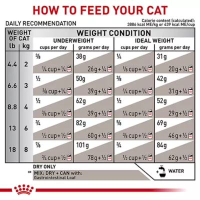Product Royal Canin® Veterinary Diet Feline Gastrointestinal Adult Dry Cat Food