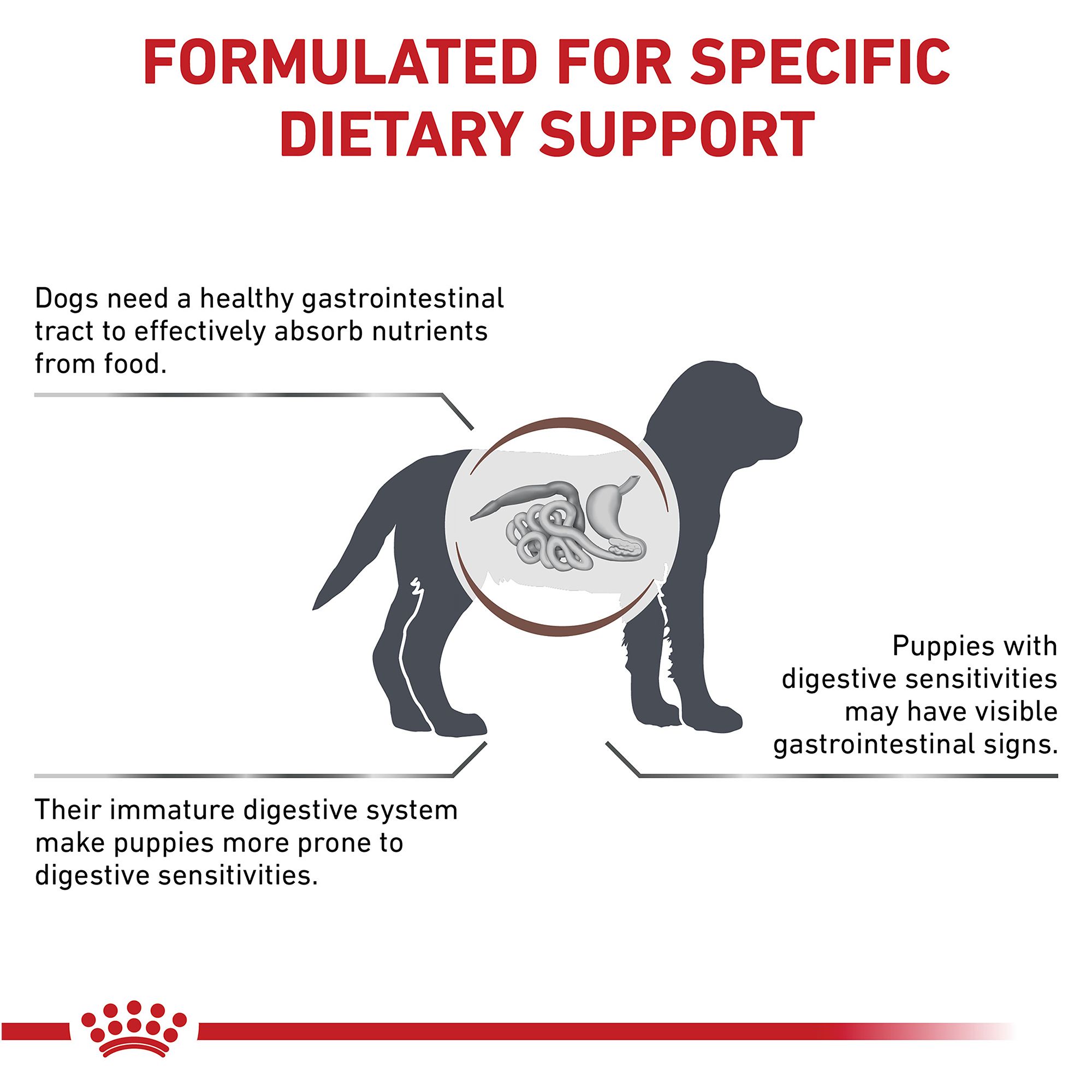Royal Canin Veterinary Diet Gastro Intestinal Puppy Food Dog Veterinary Diets Petsmart