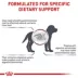 Royal Canin® Veterinary Diet Gastrointestinal Puppy Dry Dog Food image thumbnail 4