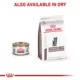Product Royal Canin® Veterinary Diet Gastrointestinal Puppy Dry Dog Food