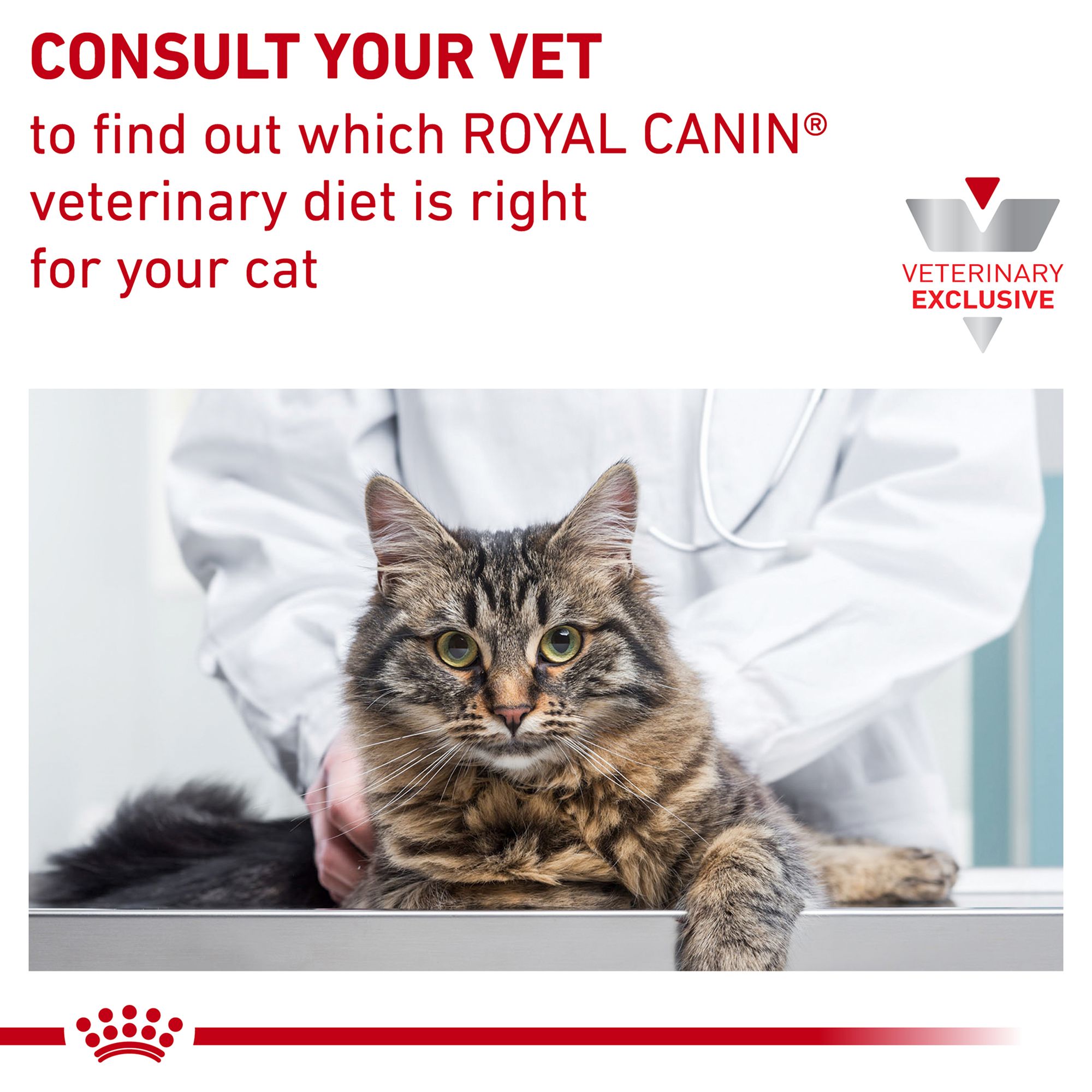 royal canin selected protein cat food