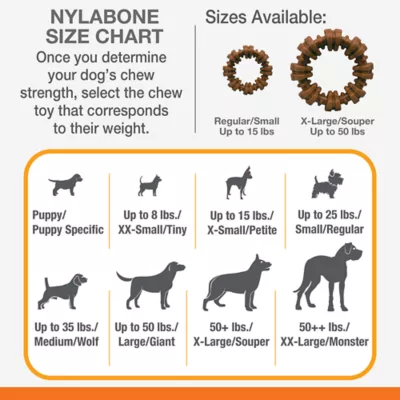 Nylabone Dura Chew Plus Textured Ring Dog Chew Large Chicken