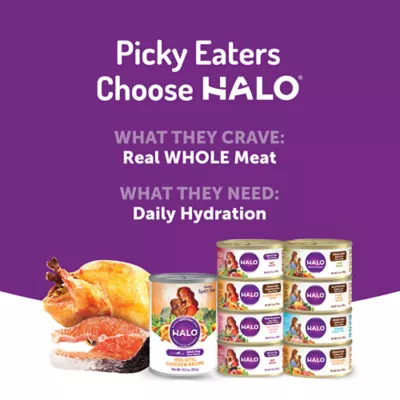 Product HALO® Adult Dog Food - Natural, Holistic Turkey & Salmon Recipe