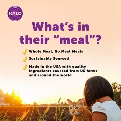 Product HALO® Adult Cat Food - Natural, Grain Free, Salmon Recipe