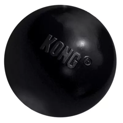 Product KONG® Extreme Ball Dog Toy