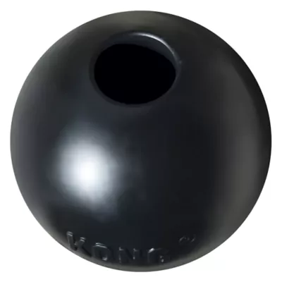 Product KONG® Extreme Ball Dog Toy