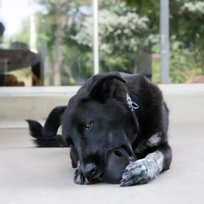 Product KONG® Extreme Ball Dog Toy