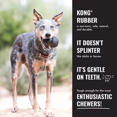 Product KONG® Extreme Ball Dog Toy