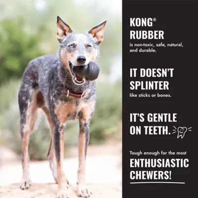 KONG® Extreme Ball Dog Toy - Image 8