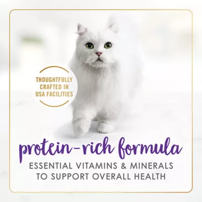 Product Fancy Feast® Delights with Cheddar All Life Stages Cat Wet Food - 3.33 oz.