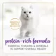 Product Fancy Feast® Delights with Cheddar All Life Stages Cat Wet Food - 3.33 oz.