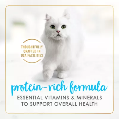 Product Fancy Feast® Delights with Cheddar All Life Stages Cat Wet Food - 3.33 oz.