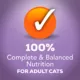 Product Purina® Friskies® Tasty Treasures Adult Cat Wet Food - 6.04 oz.