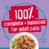 Friskies® Tasty Treasures Adult Cat Wet Food - 5.5 Oz image thumbnail 5