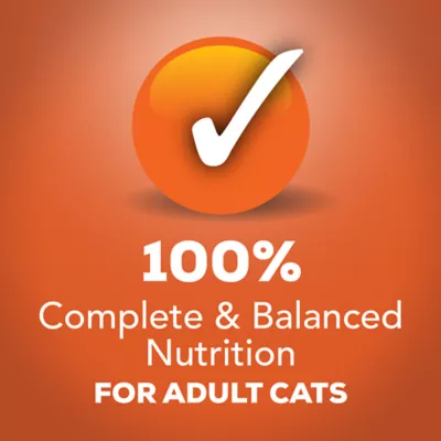 Product Purina® Friskies® Tasty Treasures Adult Cat Wet Food - 6.04 oz.