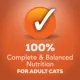 Product Purina® Friskies® Tasty Treasures Adult Cat Wet Food - 6.04 oz.