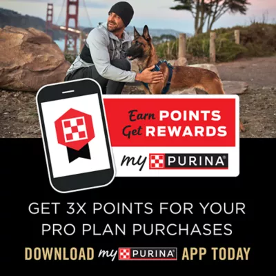 Product Purina Pro Plan Sport Active 27/17 Small Bites All Life Stages Dry Dog Food - Lamb & Rice