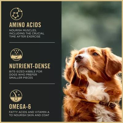 Product Purina Pro Plan Sport Active 27/17 Small Bites All Life Stages Dry Dog Food - Lamb & Rice