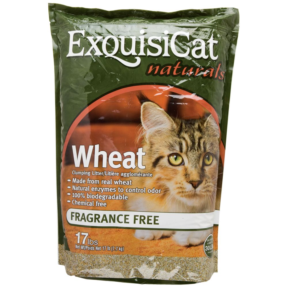 ExquisiCat® Cat Litter | cat Litter | PetSmart