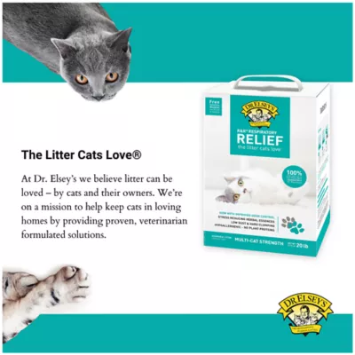 Low dust cat litter asthmatic cat best sale