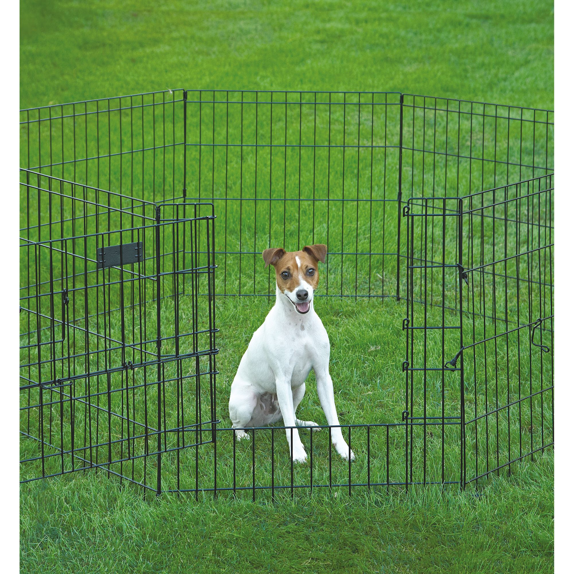 exercise pen attached to crate