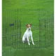 Product Top Paw® Exercise Pen