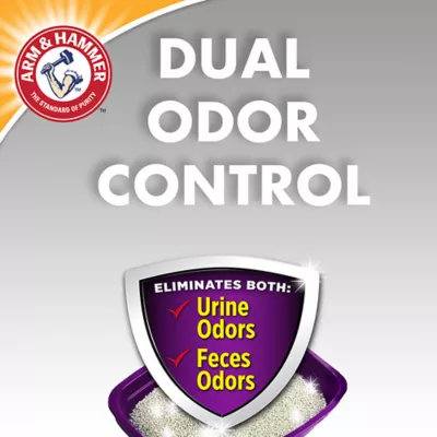 Product Arm & Hammer™ Double Duty Clumping Clay Cat Litter - Scented, Low Dust, Low Tracking