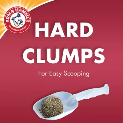 Product Arm & Hammer™ Double Duty Clumping Clay Cat Litter - Scented, Low Dust, Low Tracking