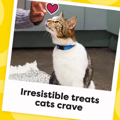 Product Temptations™ Classic Adult Cat Treats - Soft & Crunchy, Blissful Catnip