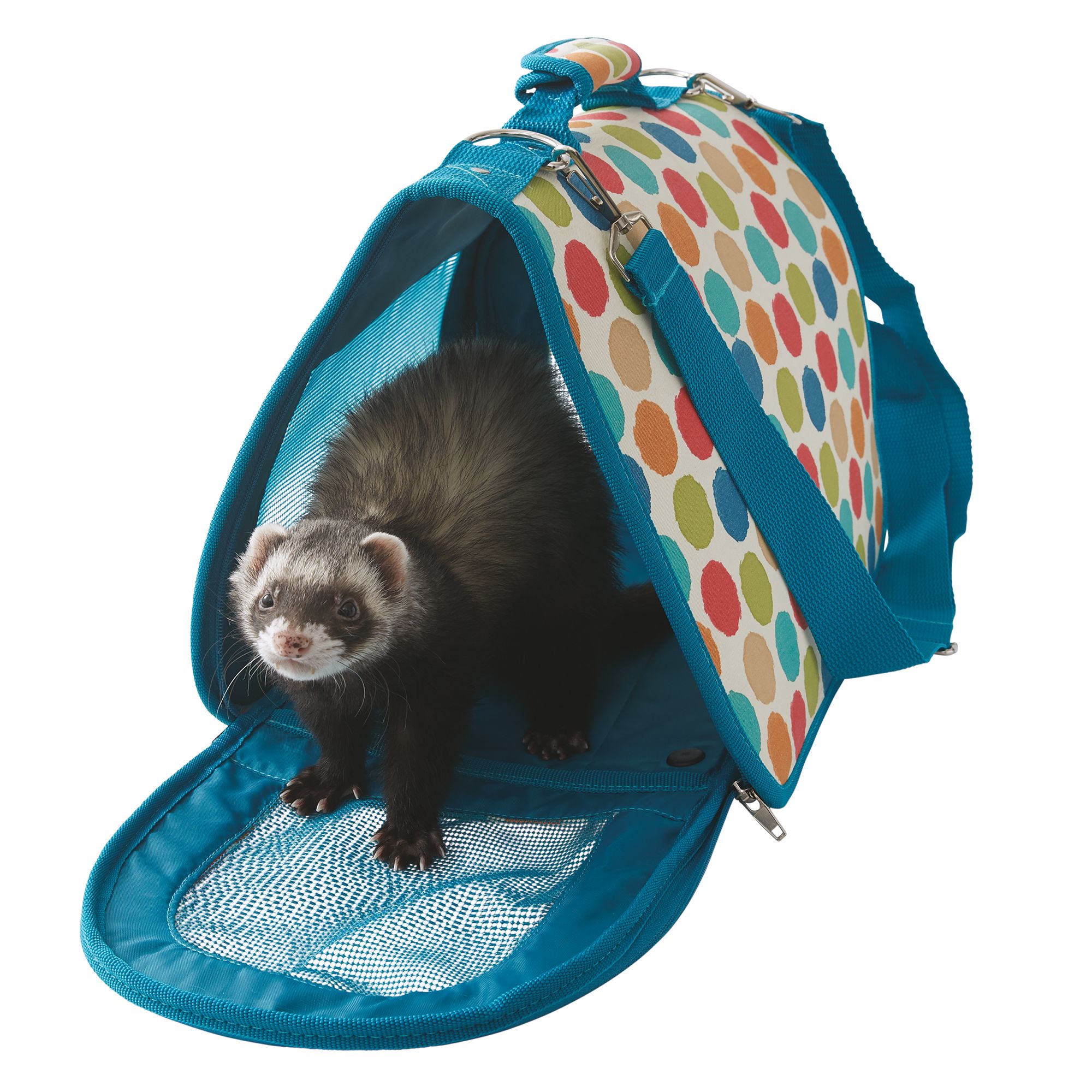 small animal pet carrier