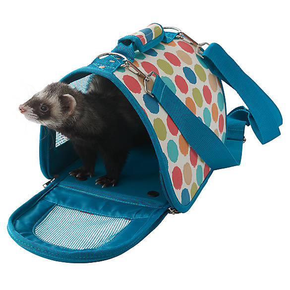 All Living Things® Small Animal Carrier | small pet Travel Carriers | PetSmart
