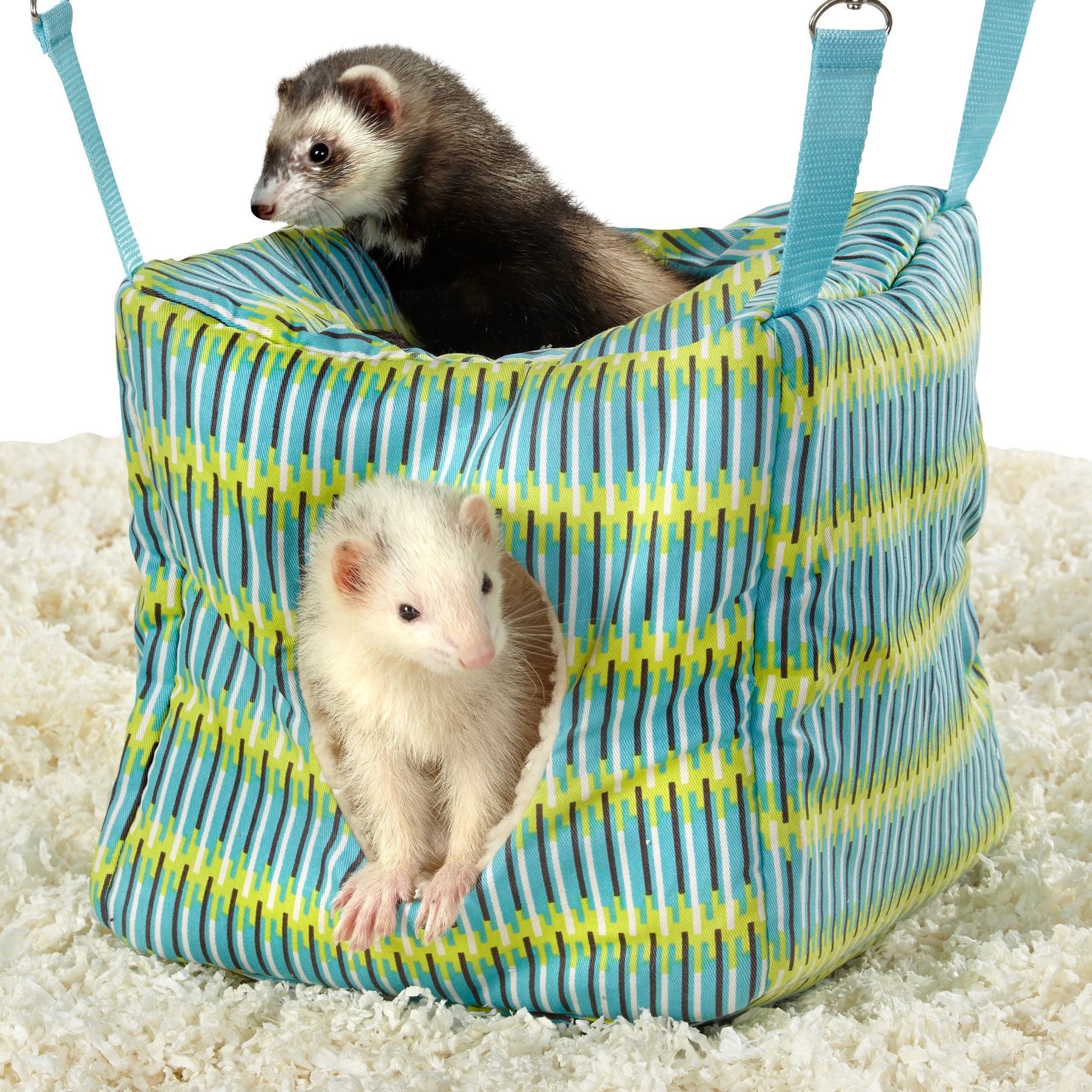 All Living Things® Ferret Cube | small pet Toys | PetSmart