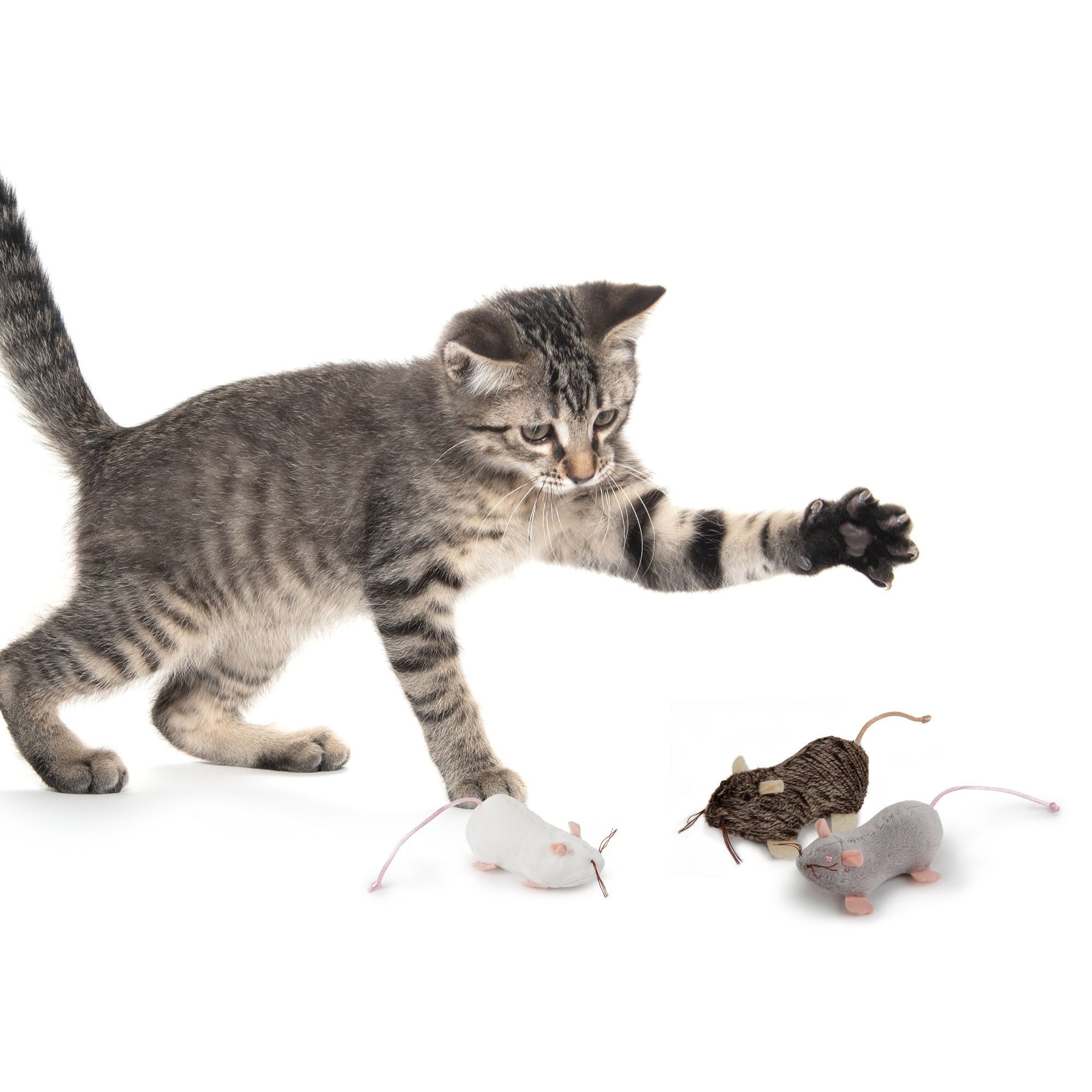 petlinks lil creepers