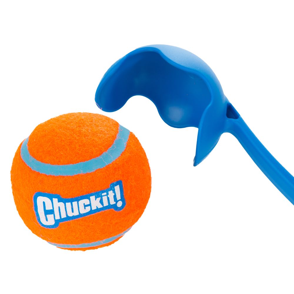 ball and ball launcher dog toy