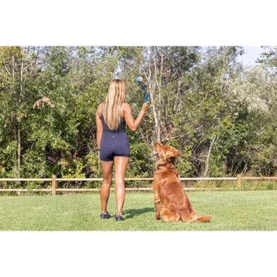Product Chuckit!® Ball Launcher Dog Toy (COLOR VARIES)