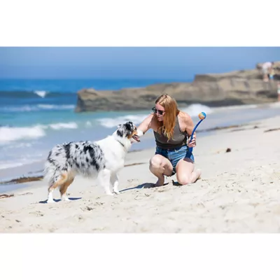 Product Chuckit!® Ball Launcher Dog Toy (COLOR VARIES)