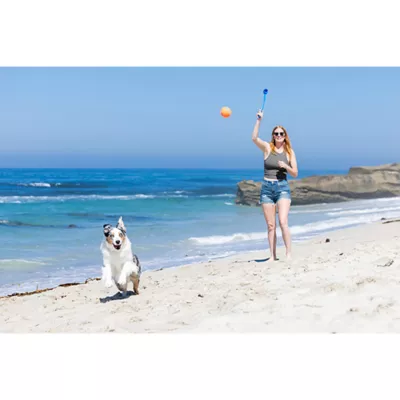 Product Chuckit!® Ball Launcher Dog Toy (COLOR VARIES)