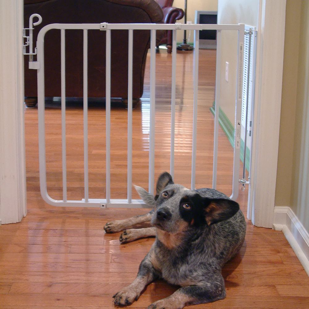dog gate lock