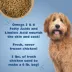 Bil-Jac Sensitive Solutions Skin & Stomach Support All Life Stage Dry Dog Food - Chicken & Whitefish image thumbnail 3